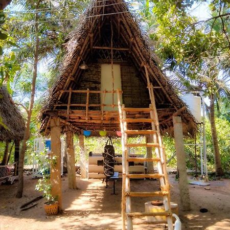 Peace Garden Pansiyon Auroville Dış mekan fotoğraf