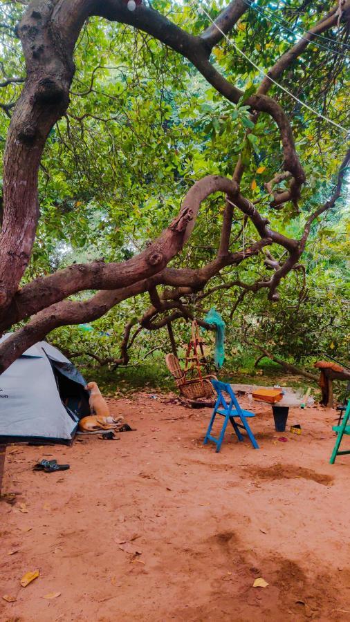 Peace Garden Pansiyon Auroville Dış mekan fotoğraf