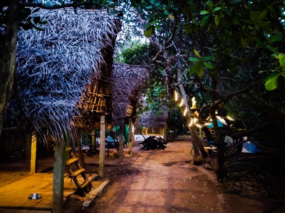 Peace Garden Pansiyon Auroville Dış mekan fotoğraf