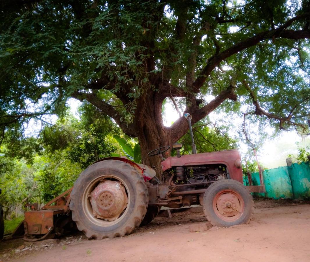 Peace Garden Pansiyon Auroville Dış mekan fotoğraf
