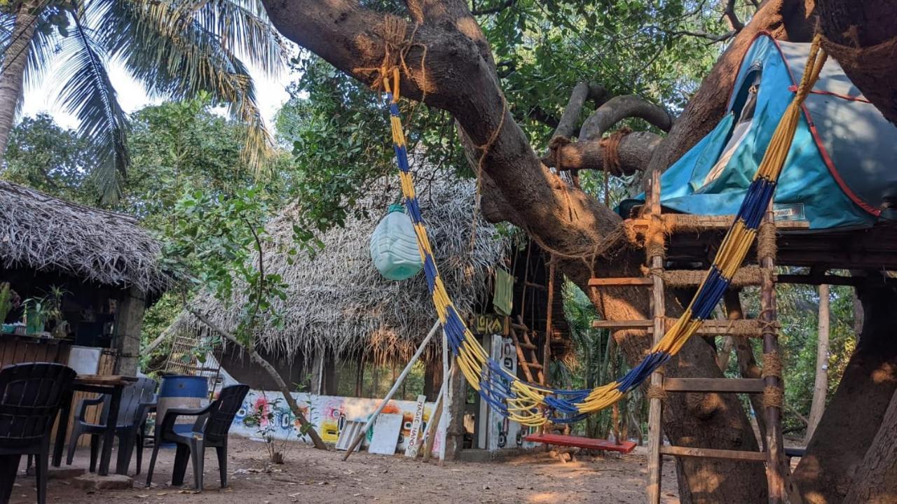 Peace Garden Pansiyon Auroville Dış mekan fotoğraf