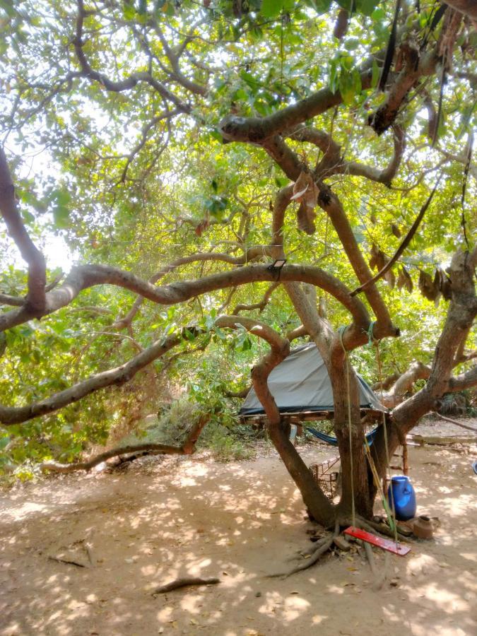 Peace Garden Pansiyon Auroville Dış mekan fotoğraf