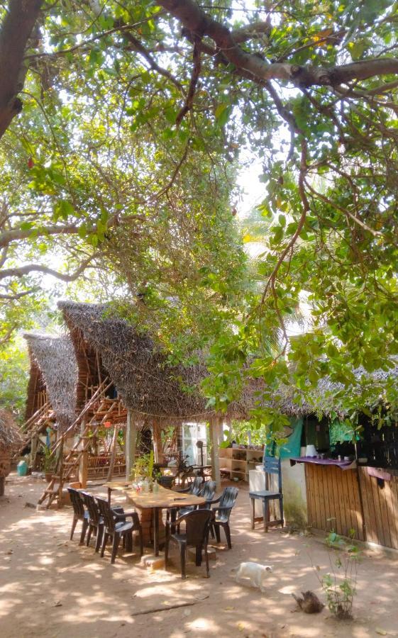 Peace Garden Pansiyon Auroville Dış mekan fotoğraf