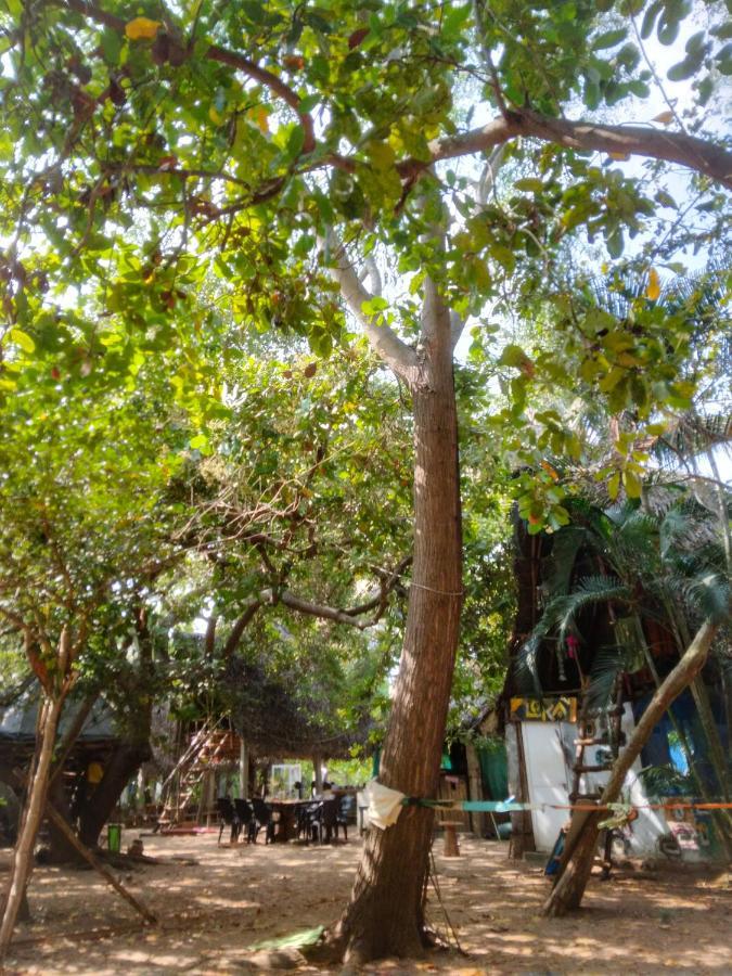 Peace Garden Pansiyon Auroville Dış mekan fotoğraf